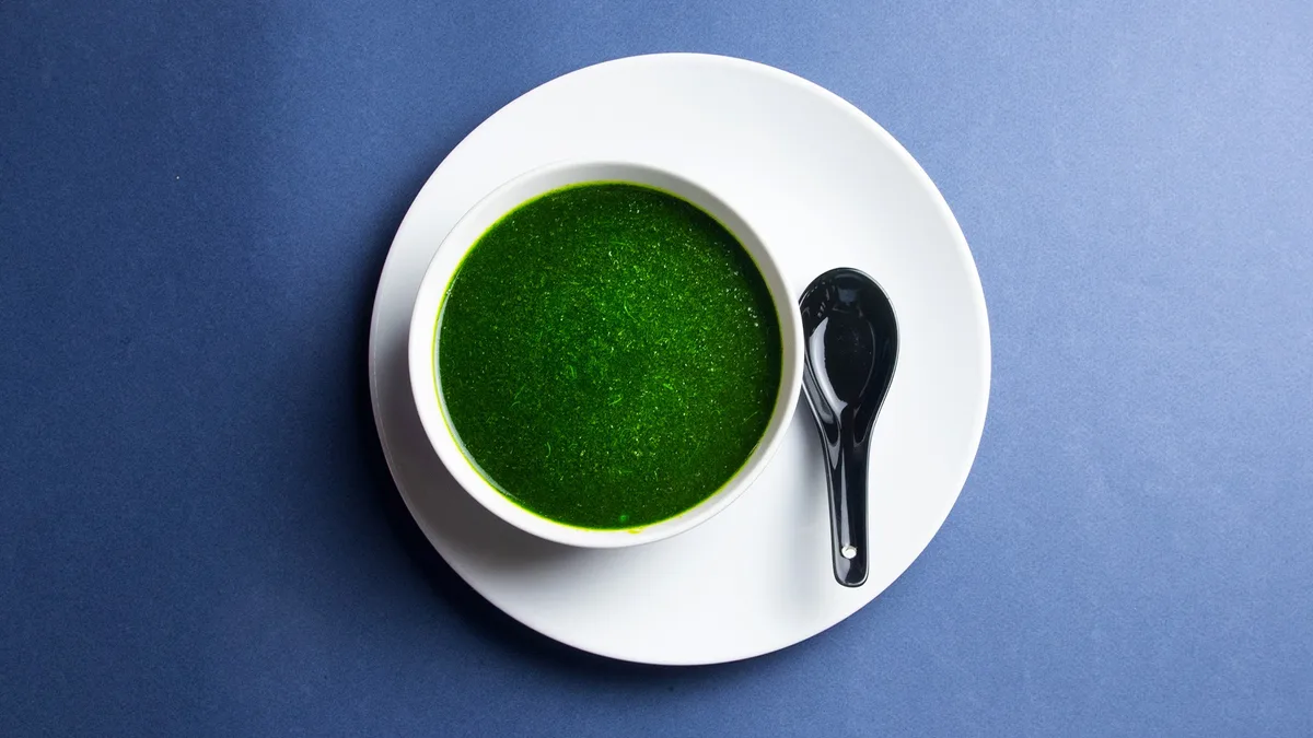Soup of the day (Spinach)