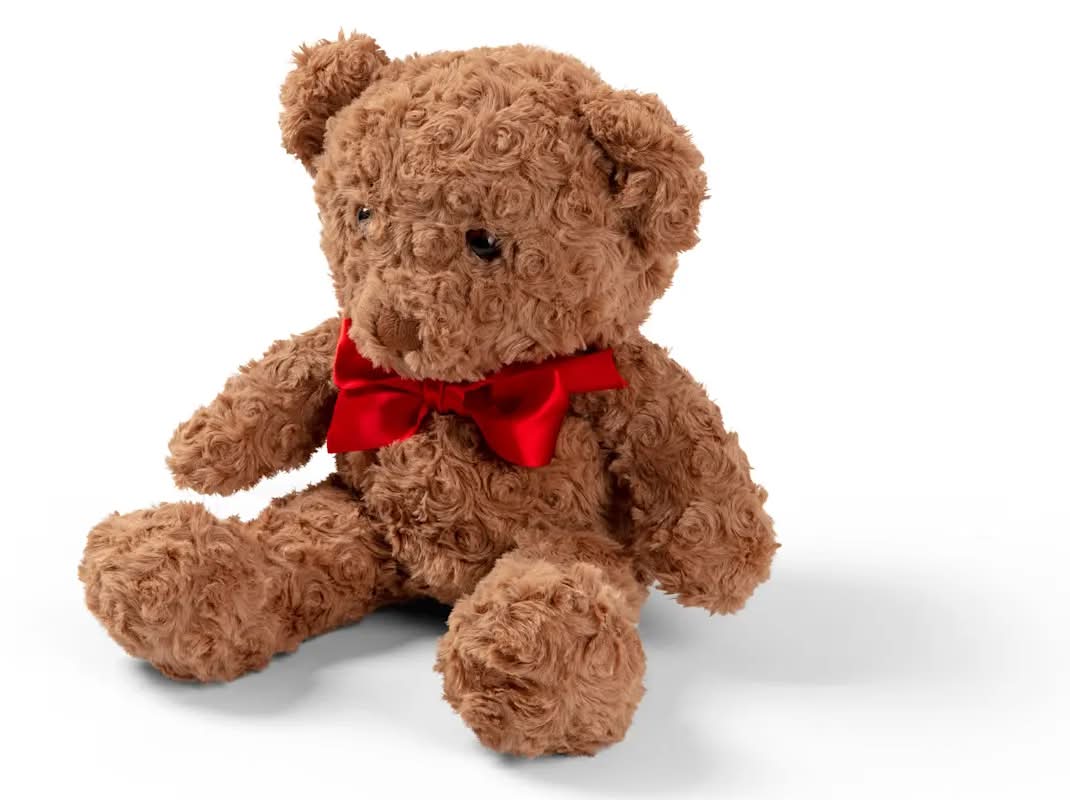 Bobbi the Bear