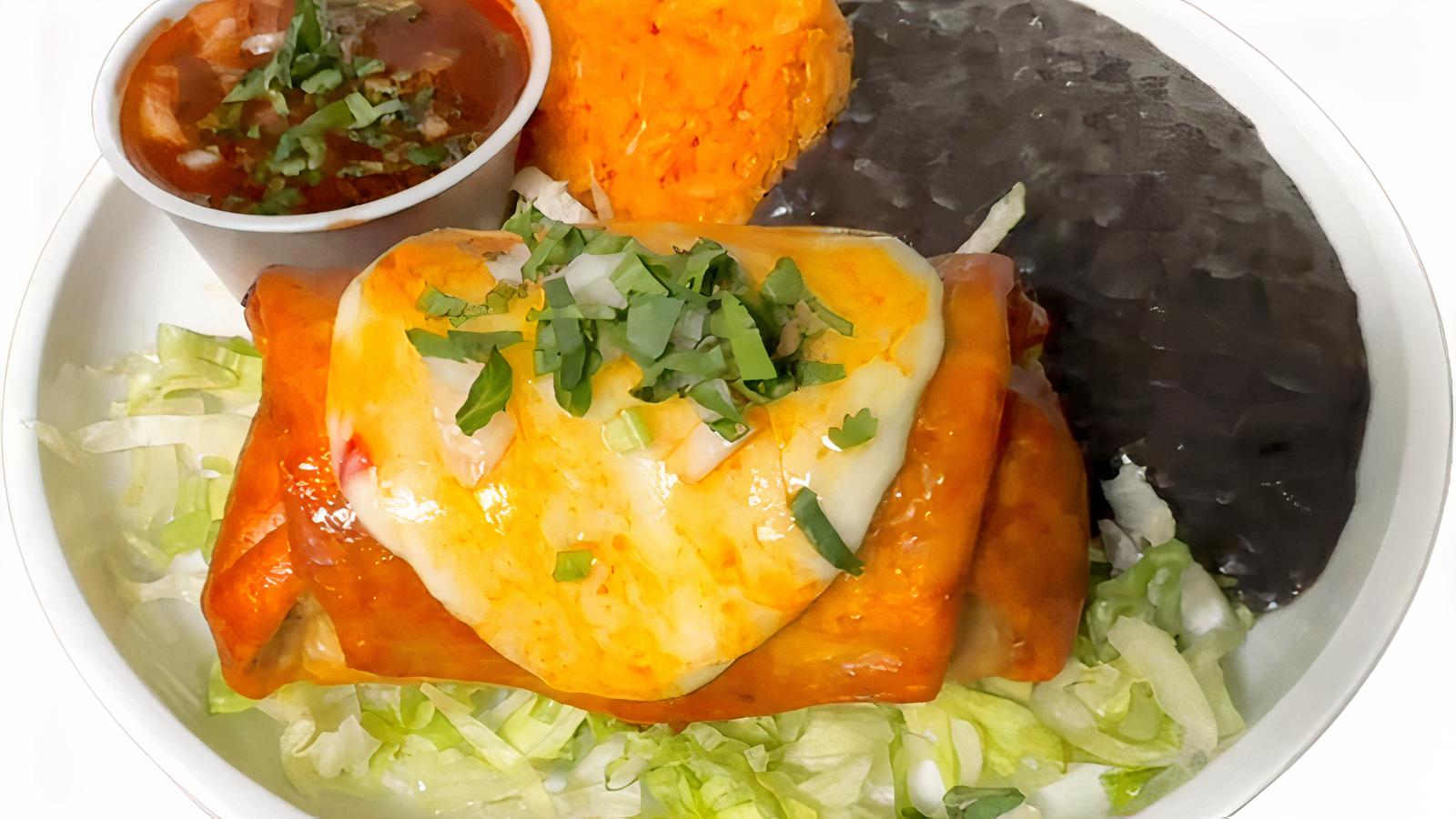 Chimichanga-Birria