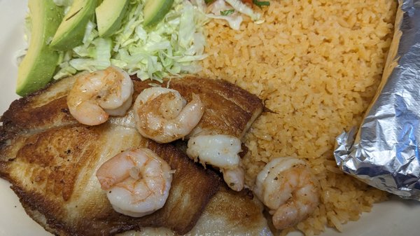 Tilapia Norteña