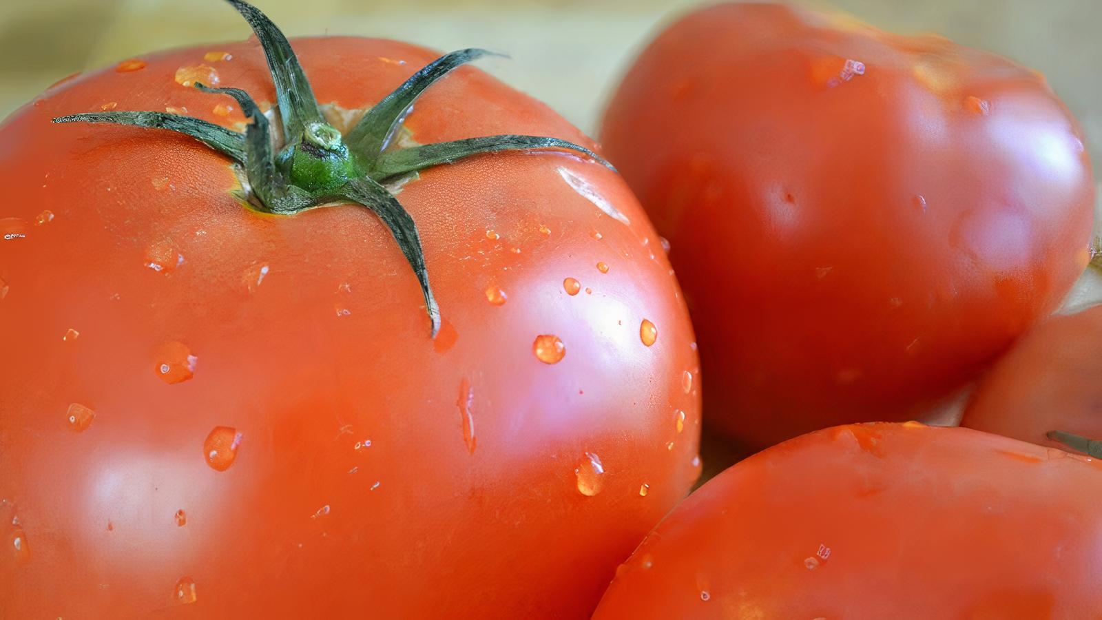 Tomatoes 4oz