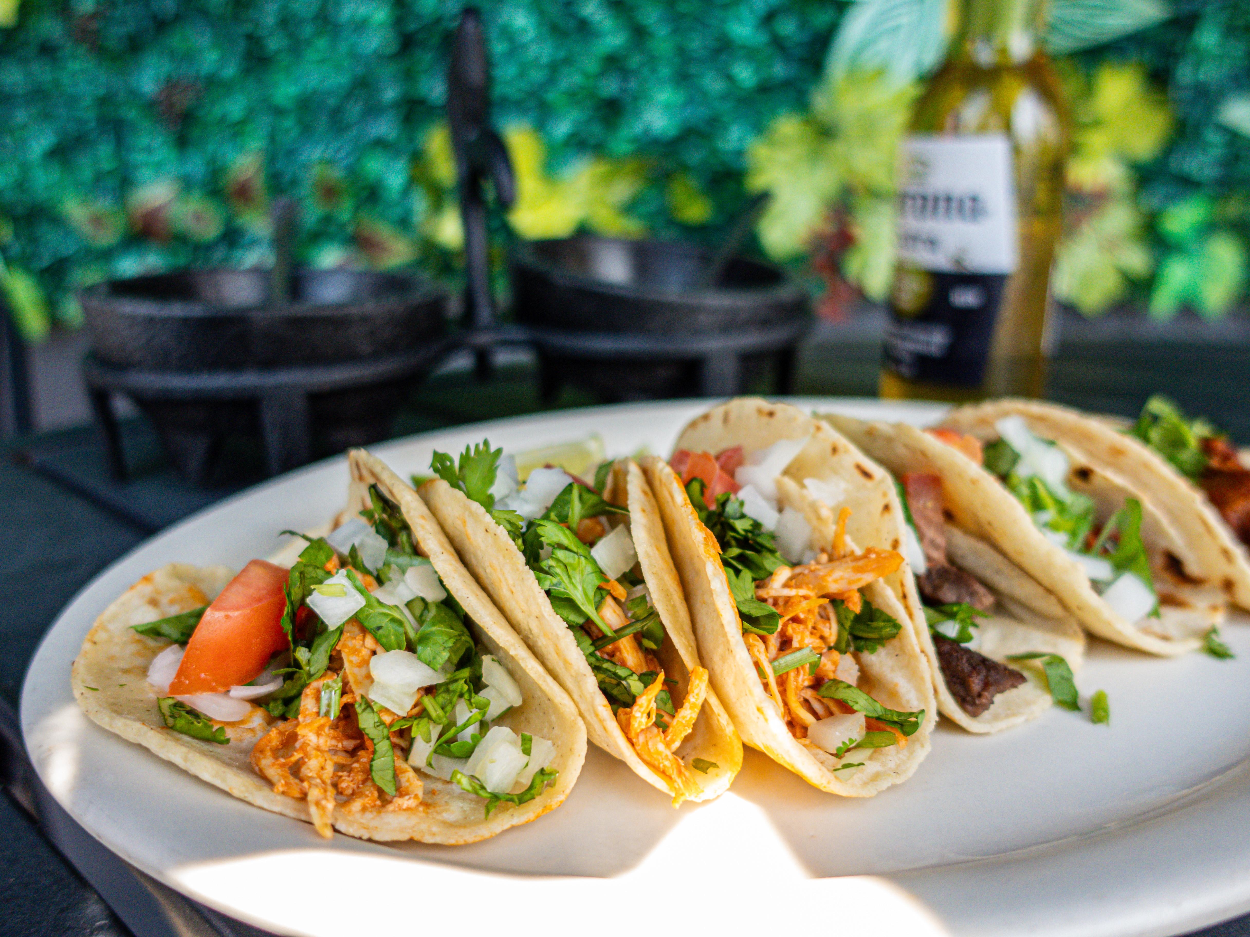 Tacos de Pescado / Fish Tacos