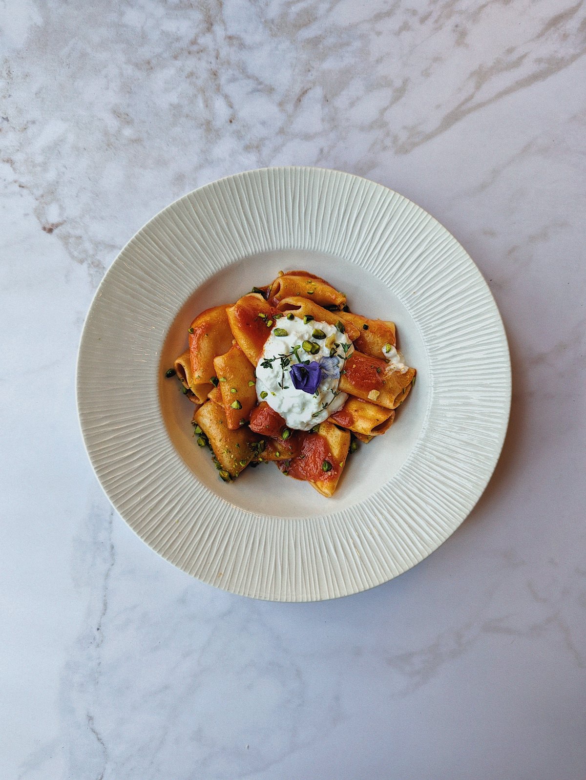 Paccheri pomodoro e stracciatella