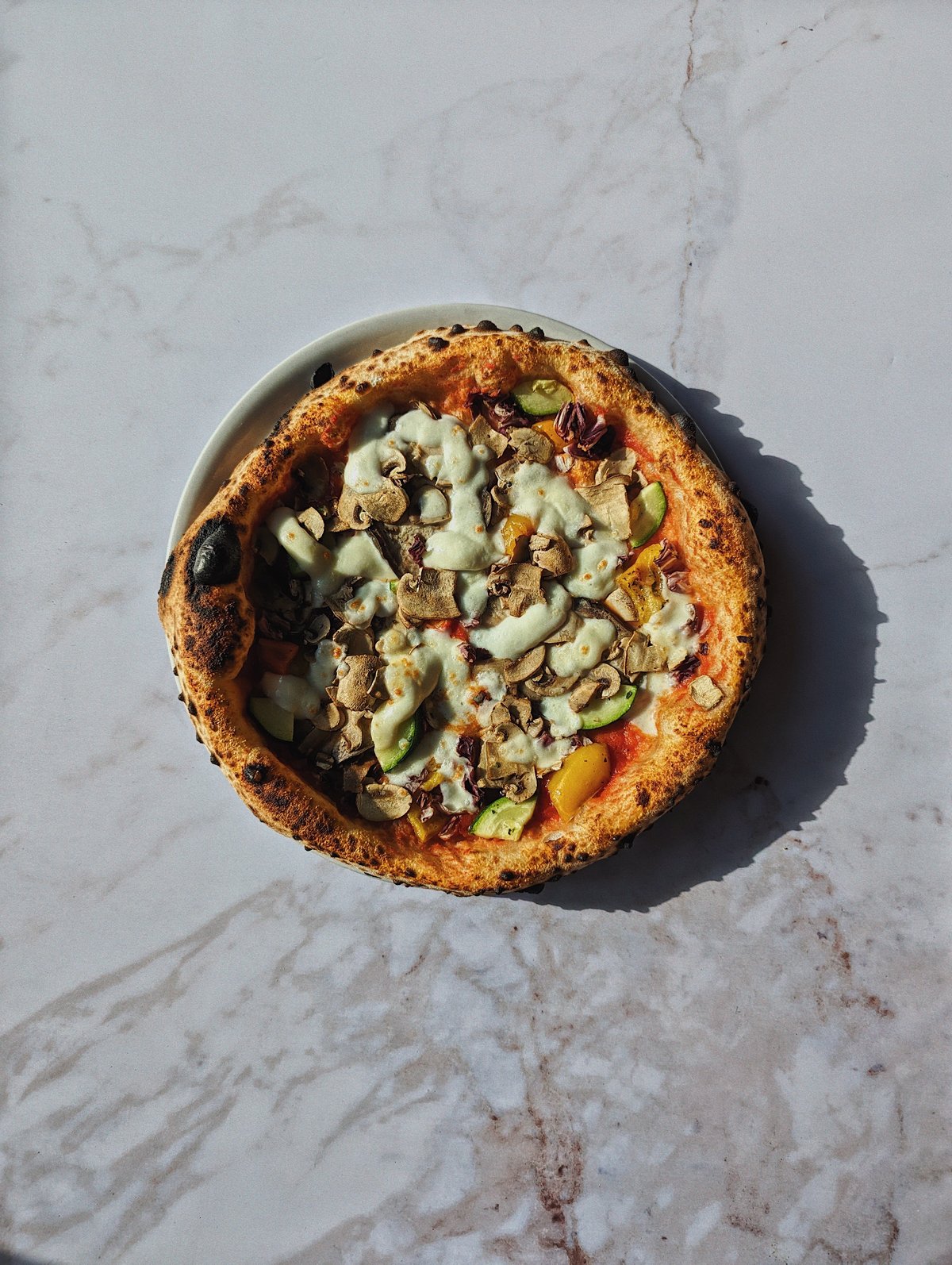 Vegeteriana/Vegana
