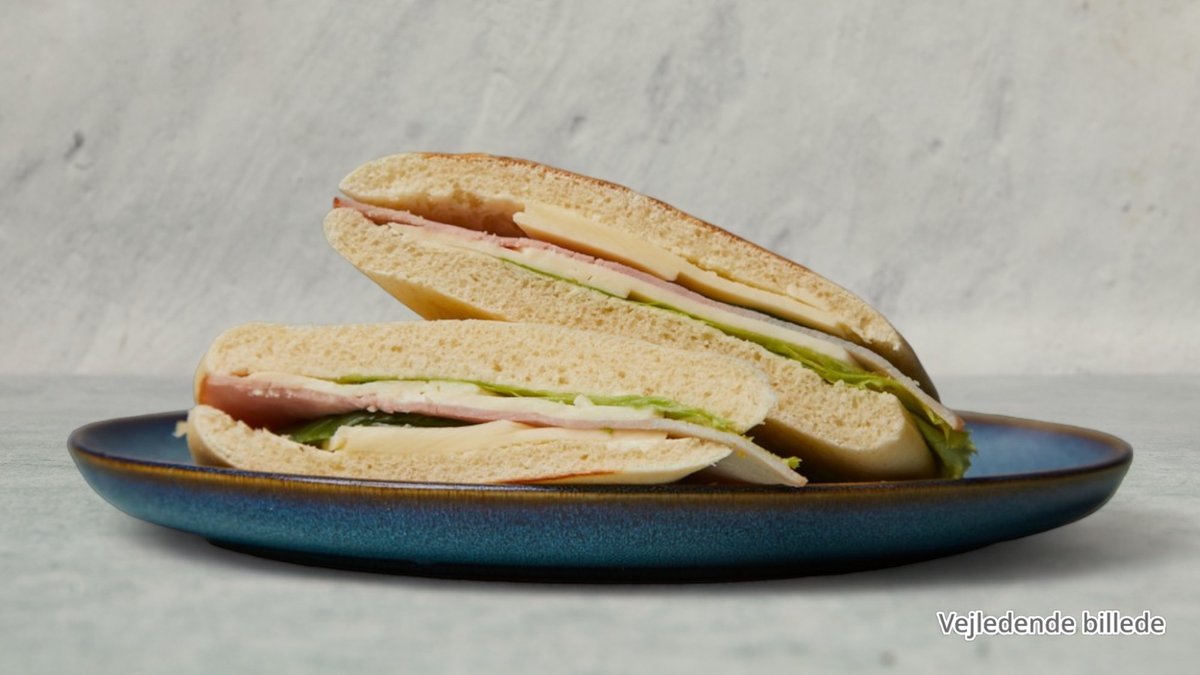 Tun panini