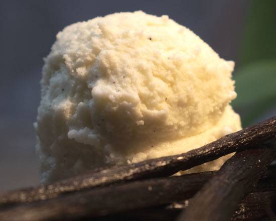 Vanilla Bean Gelato Pint