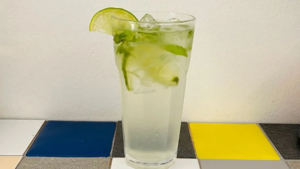 Mexican Mojito 🌴 (330ml)