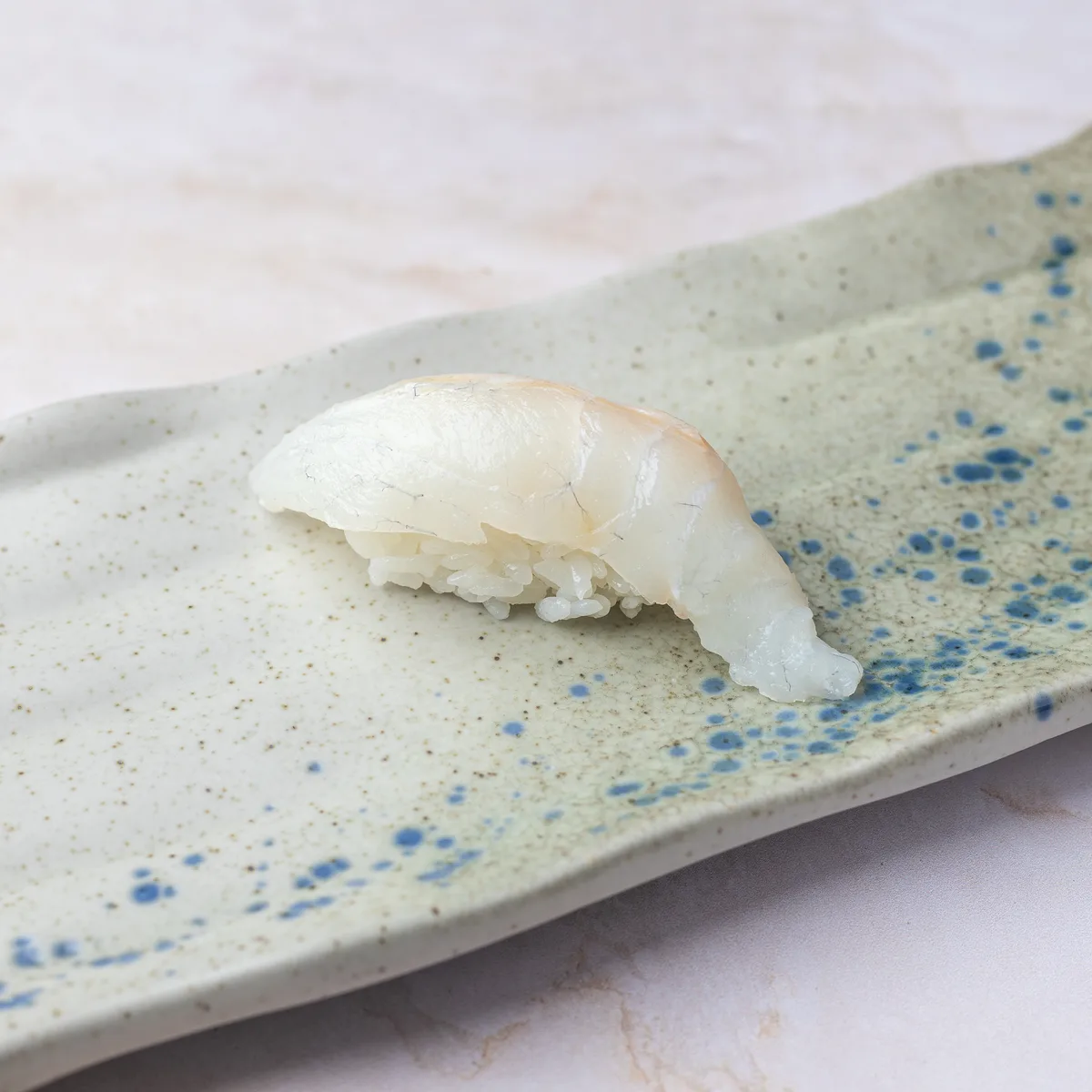 Nigiri kurodai orada