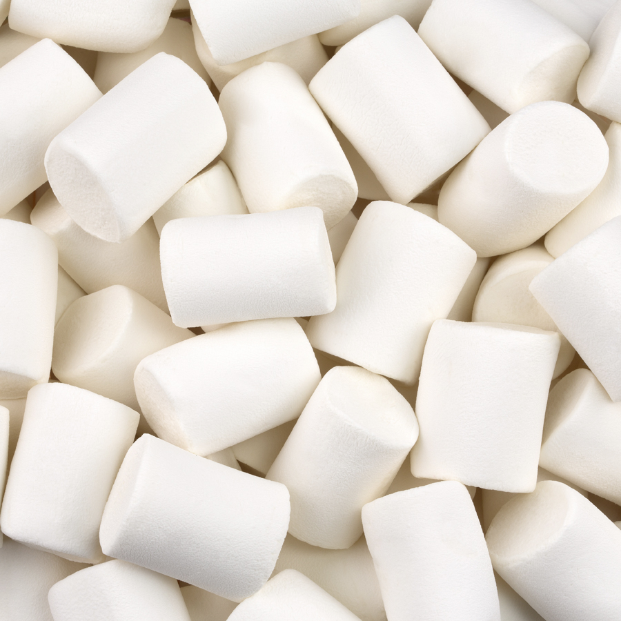 Marshmallow Camping Baunilha Fini - 20g