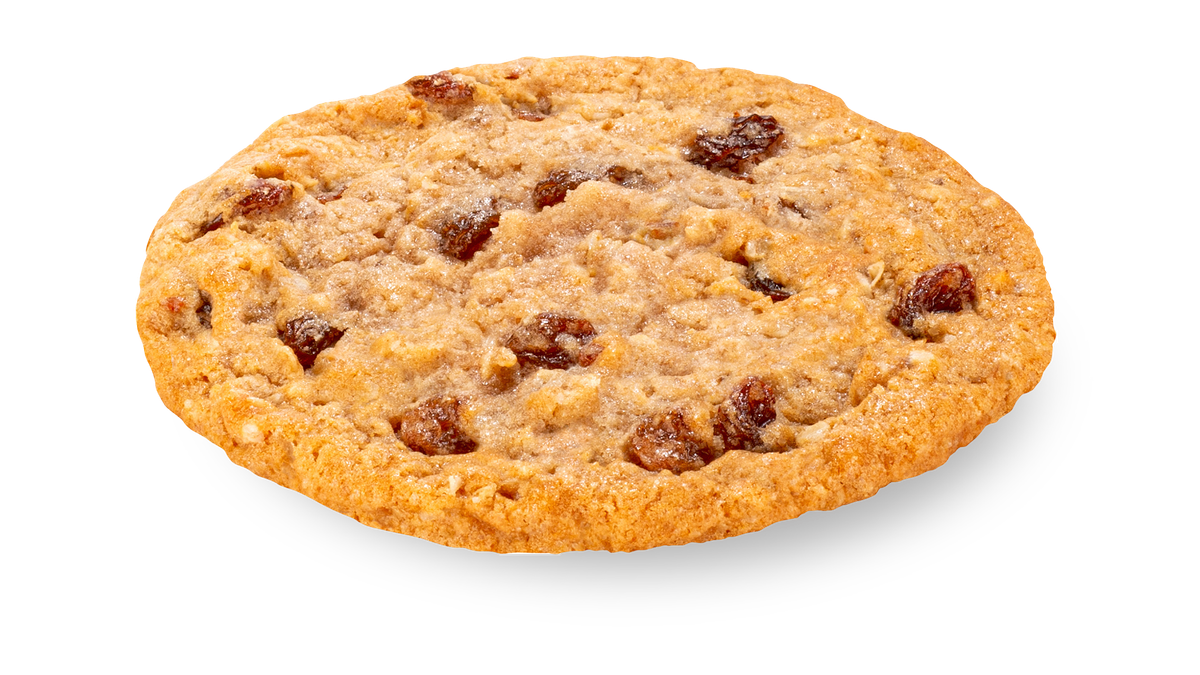 Oatmeal and Raisin Cookie