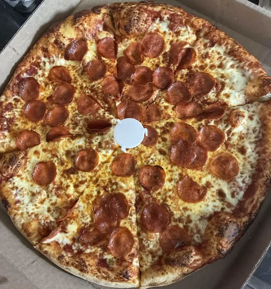 LARGE 16"