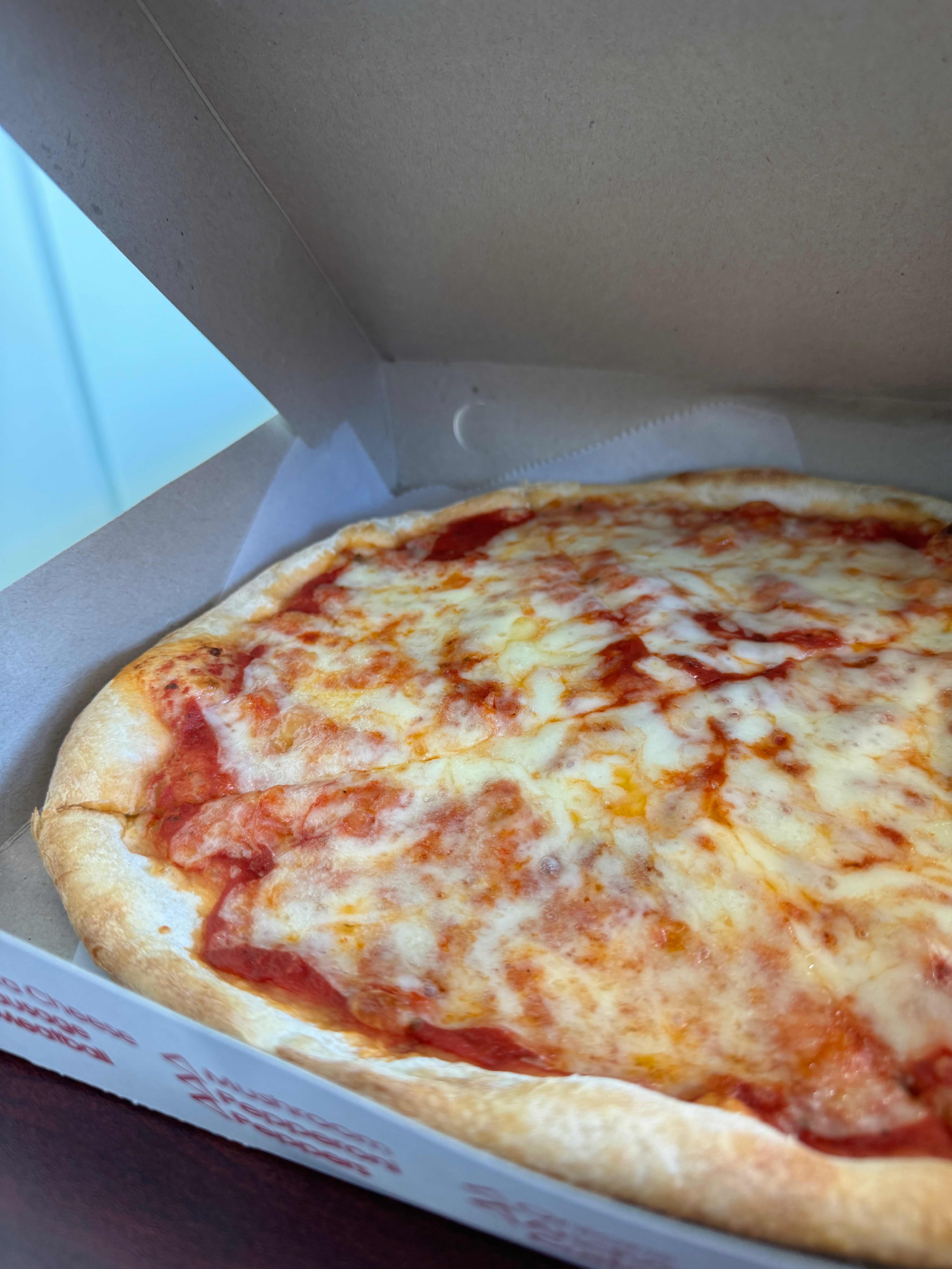 Plain Cheese Pan Pizza