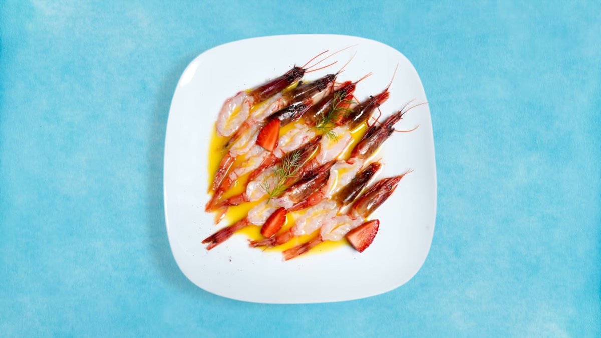 Shrimp