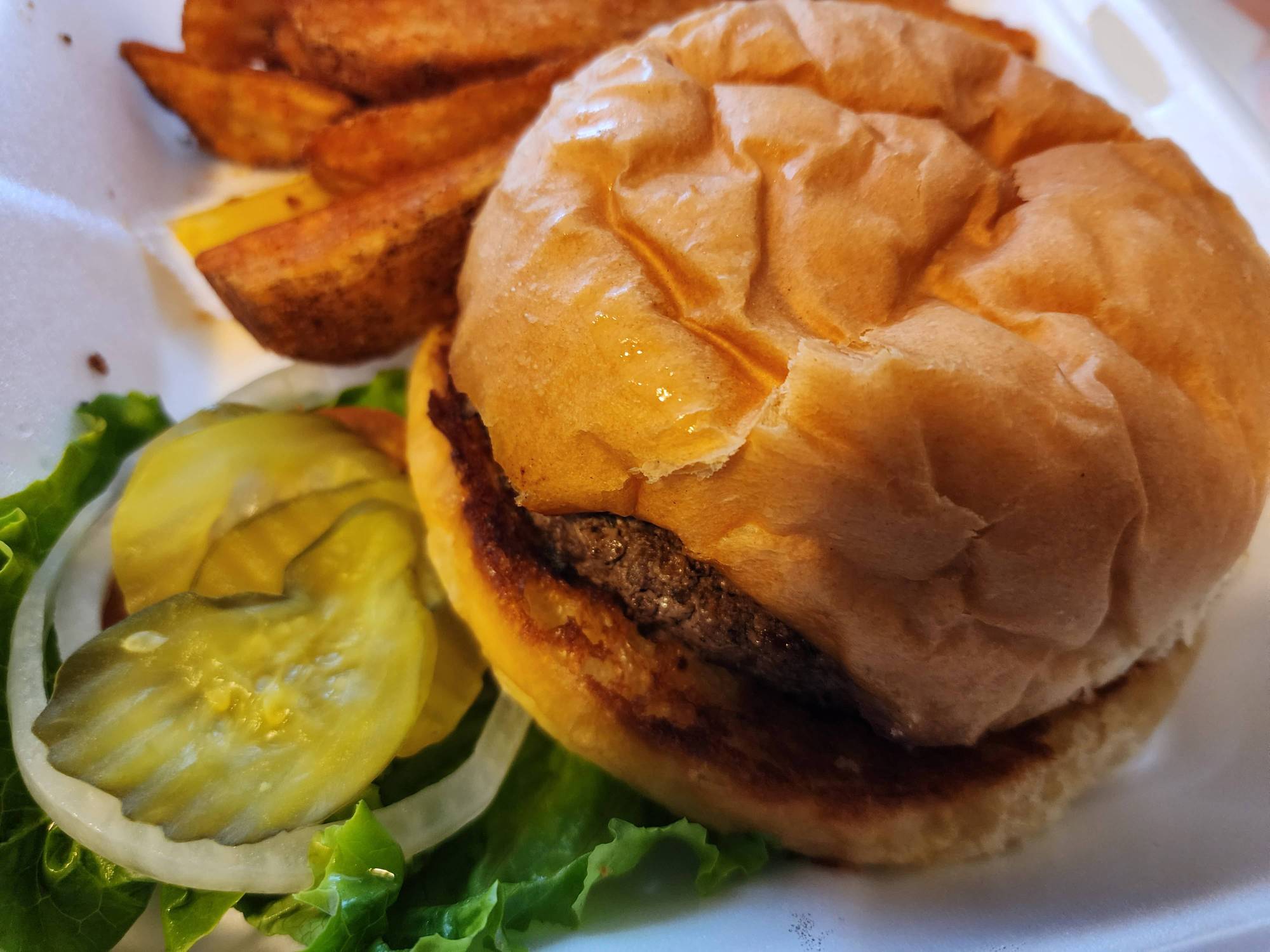 Bison Burger