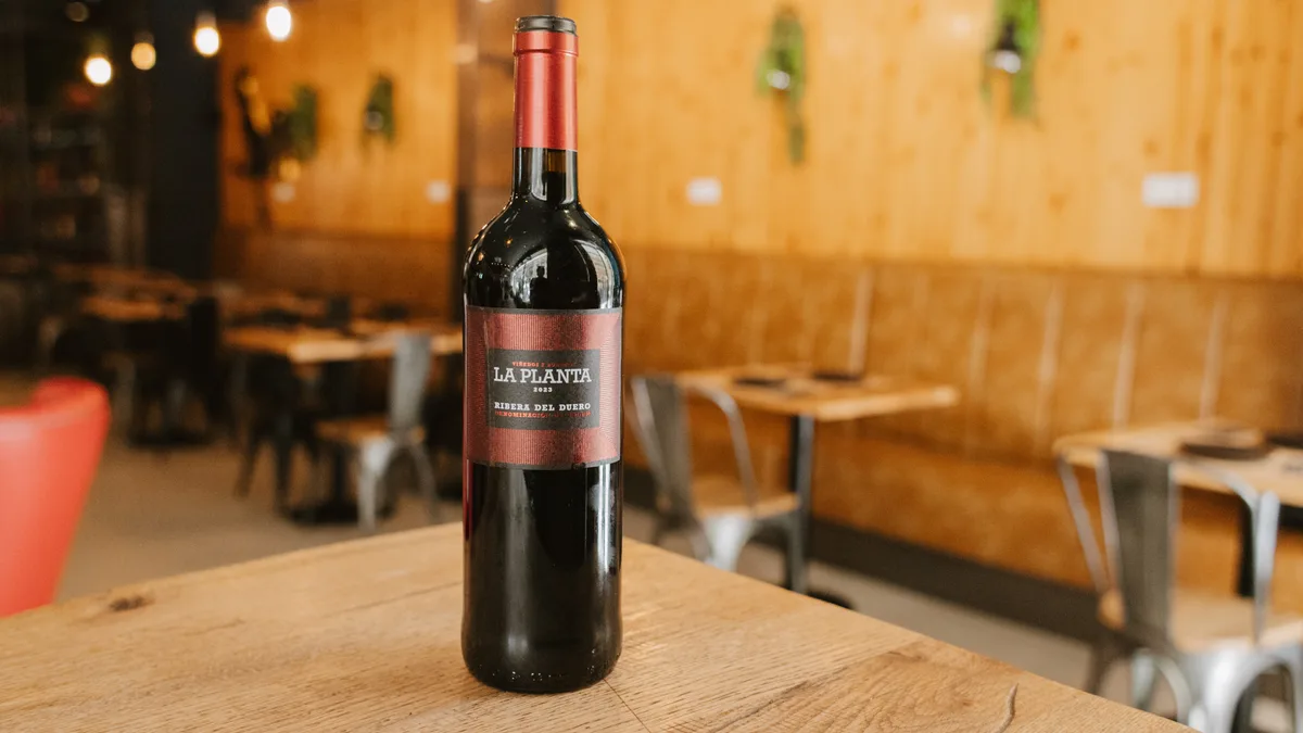 La planta (Tempranillo)