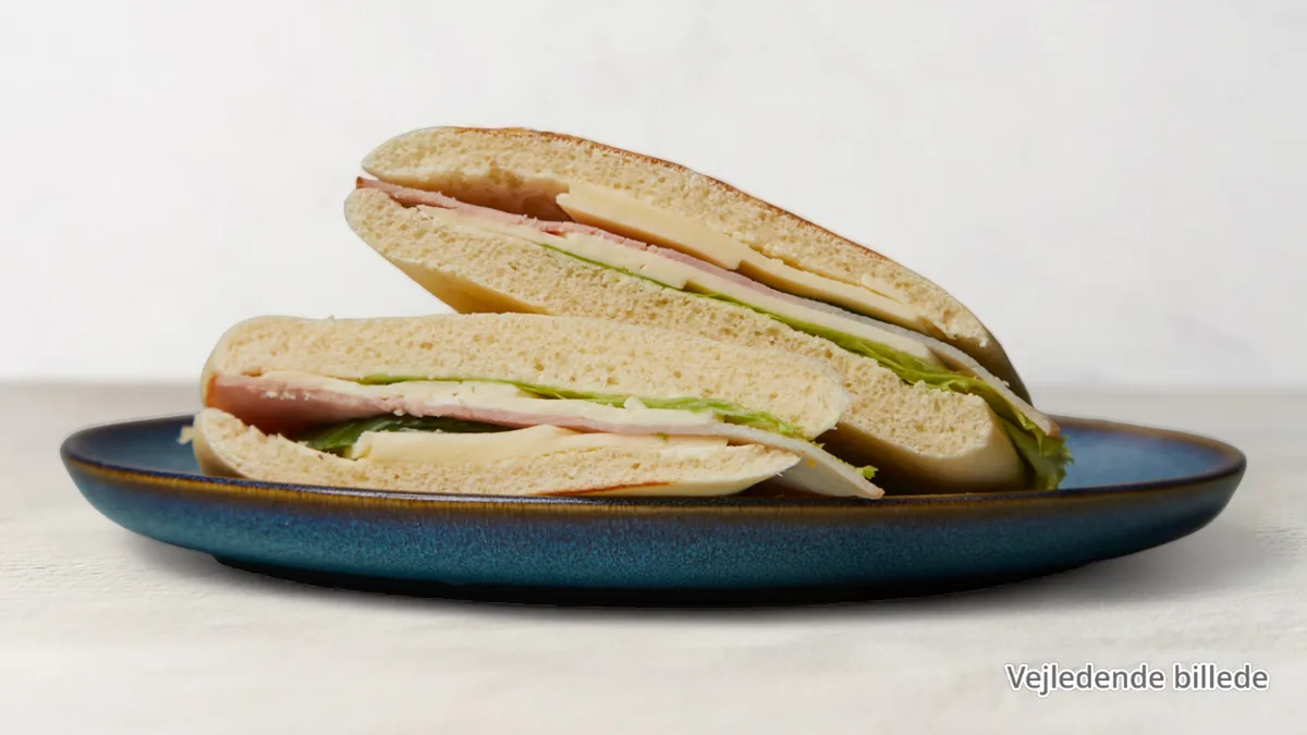 Panini