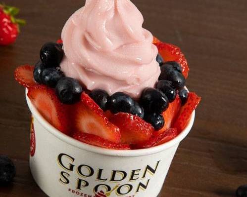 Large Frozen Yogurt with Toppings