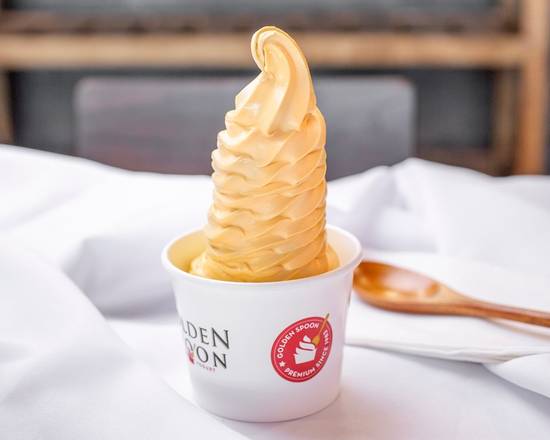 Large Frozen Yogurt