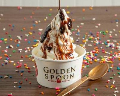 Regular Frozen Yogurt with Toppings