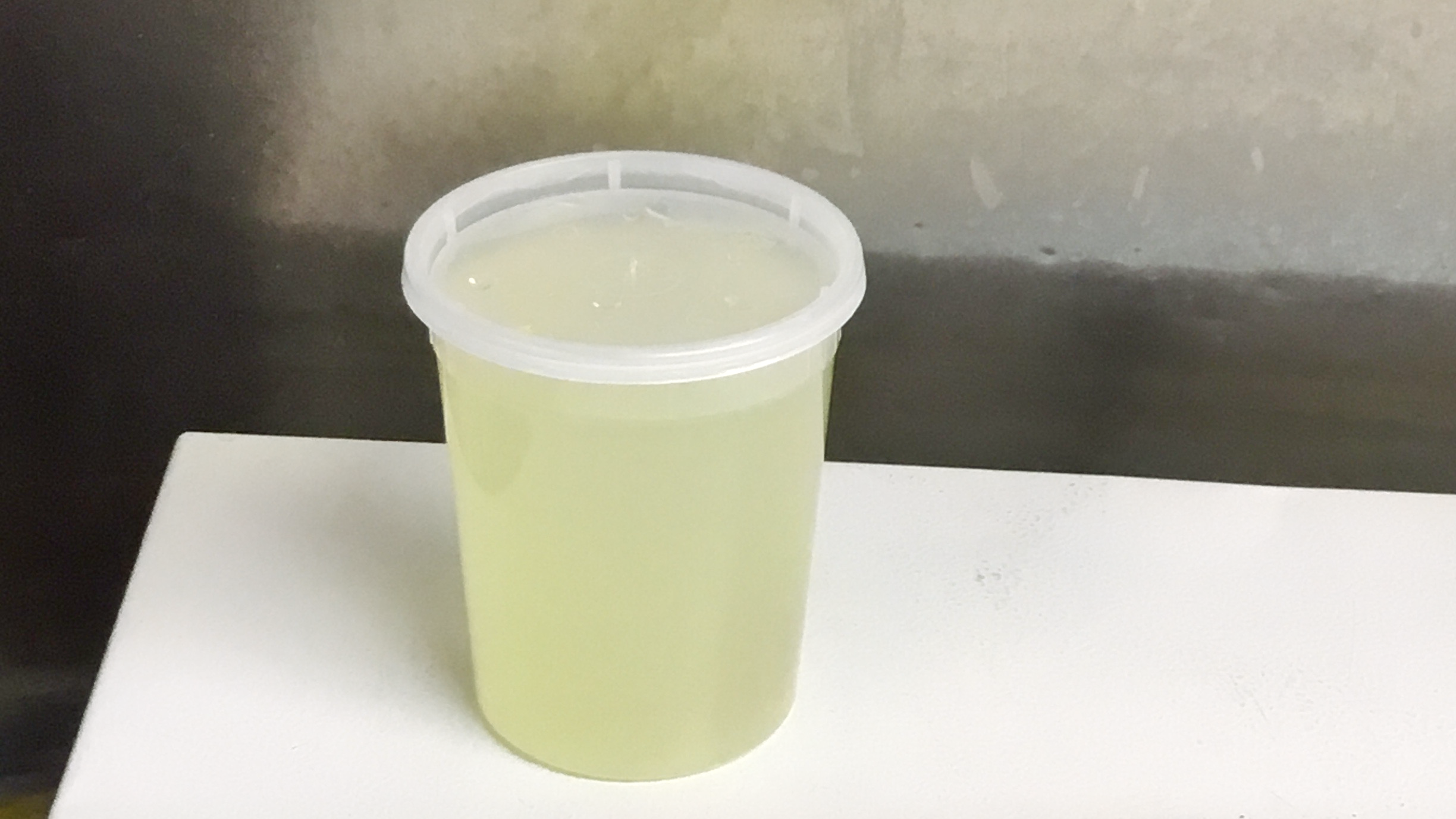 Homemade lemonade