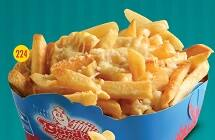 224 Fritas Max Gordão com Parmesão