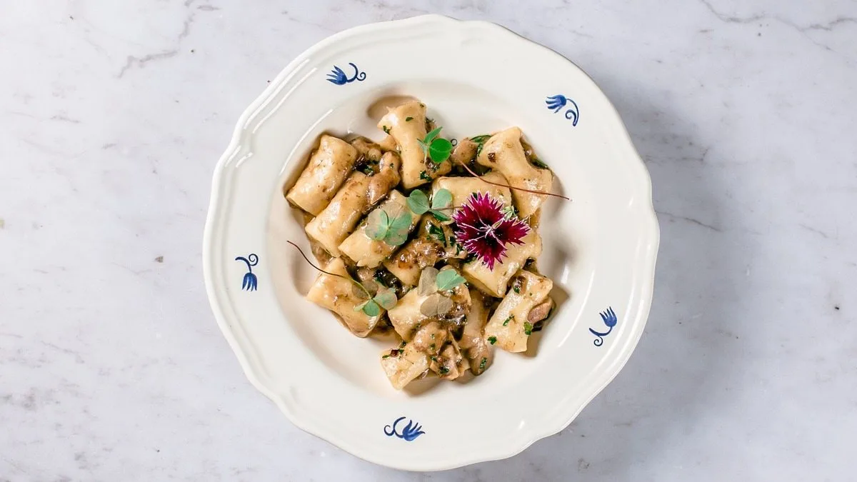 Delicious gnocchi with porcini in cream sauce