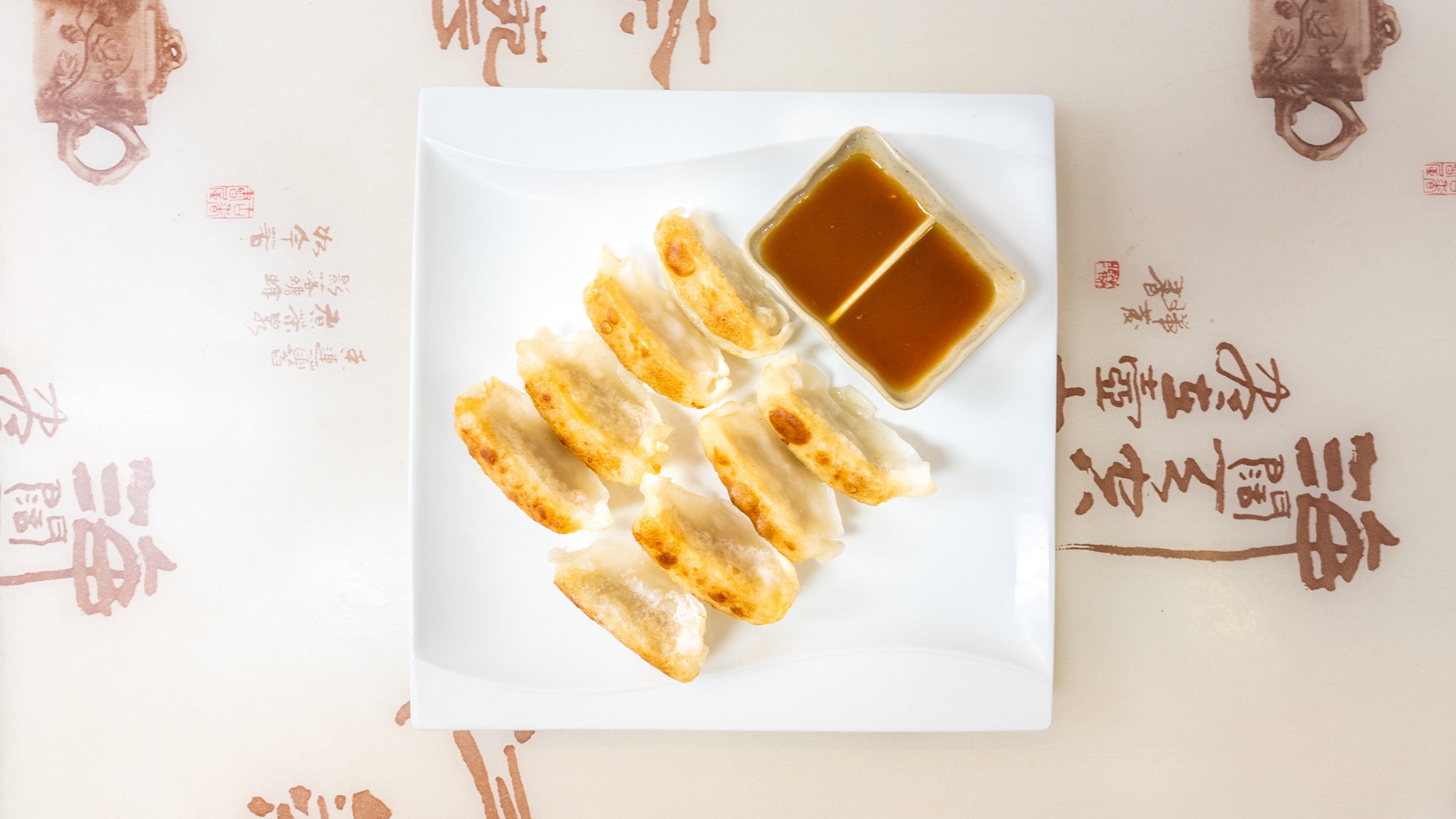 14. Chicken Dumplings (Fried) (8)