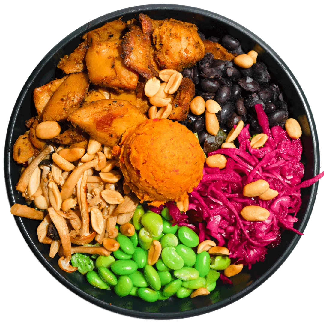 Protein Power