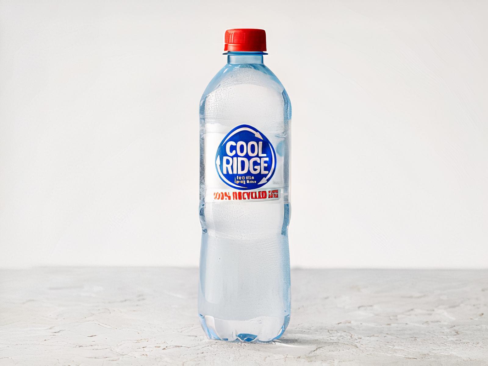 Cool Ridge Water 600ml