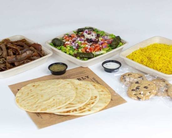 Gyro Family Meal