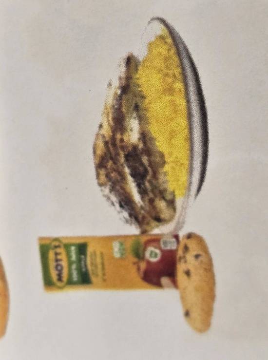 Kids Grilled Cheese