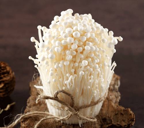 Enoki Mushroom