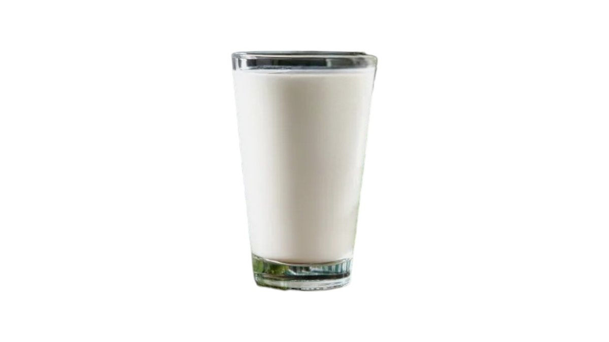 Ev Sayağı Ayran 200ml