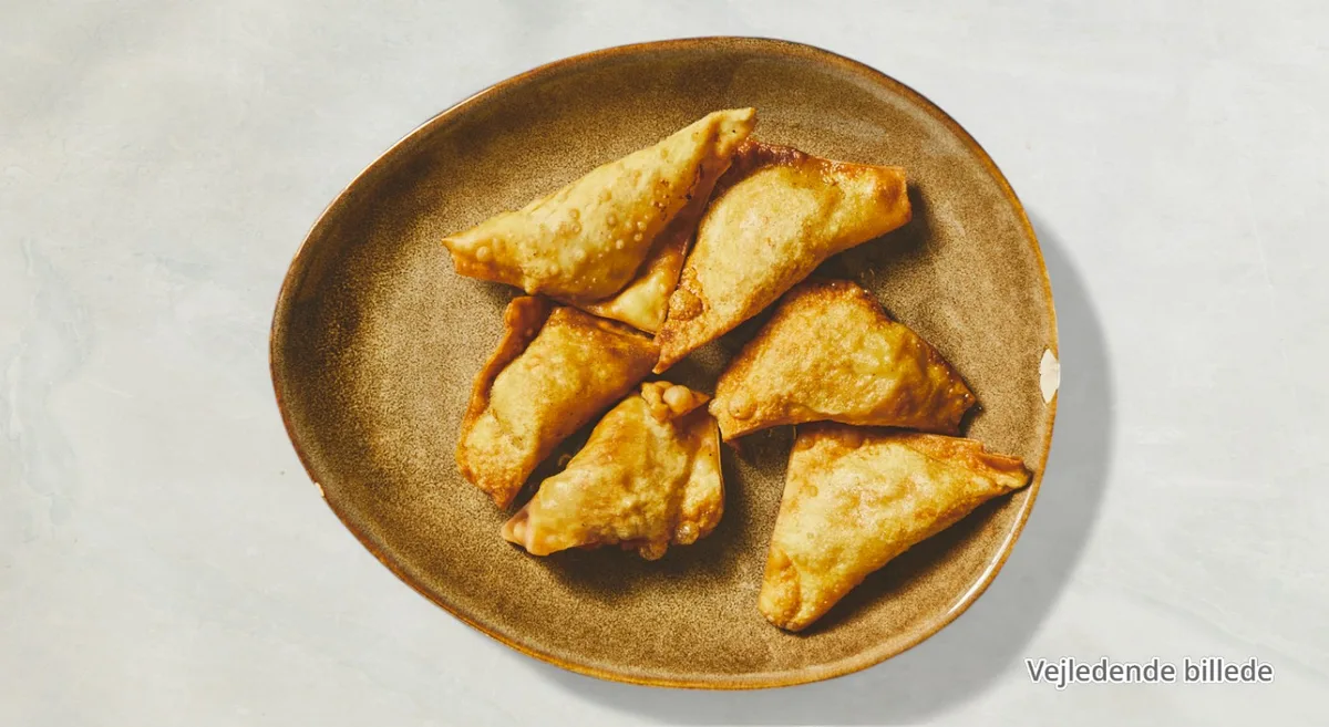 8. Hjemmelavede wonton (5 stk)