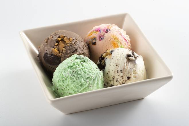 4 Scoop Sampler