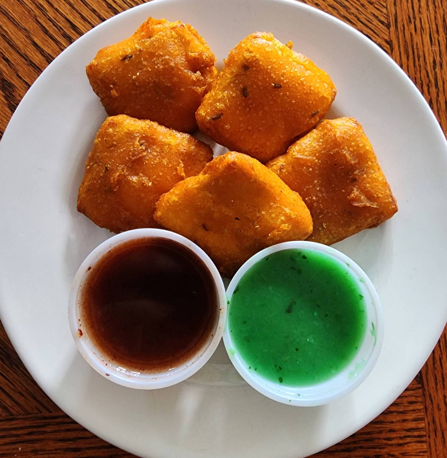 Paneer Pakora (5)