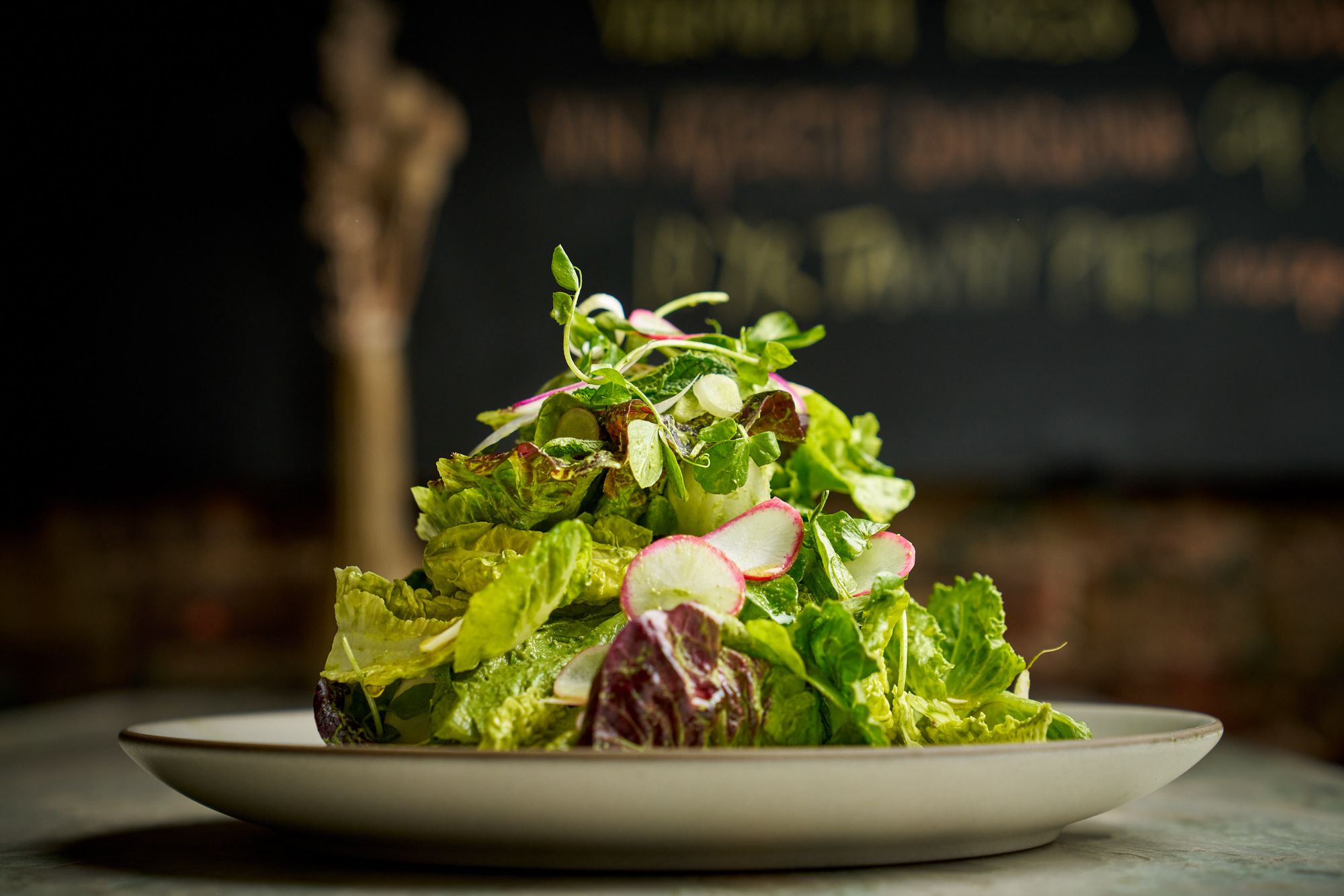 Campo Rosso Lettuces