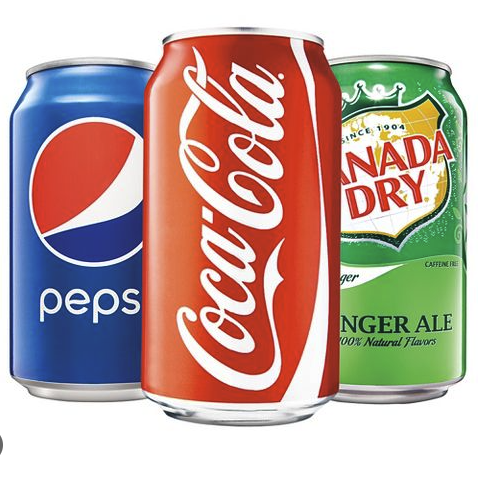 Pepsi Bottled Drinks (591 ml )