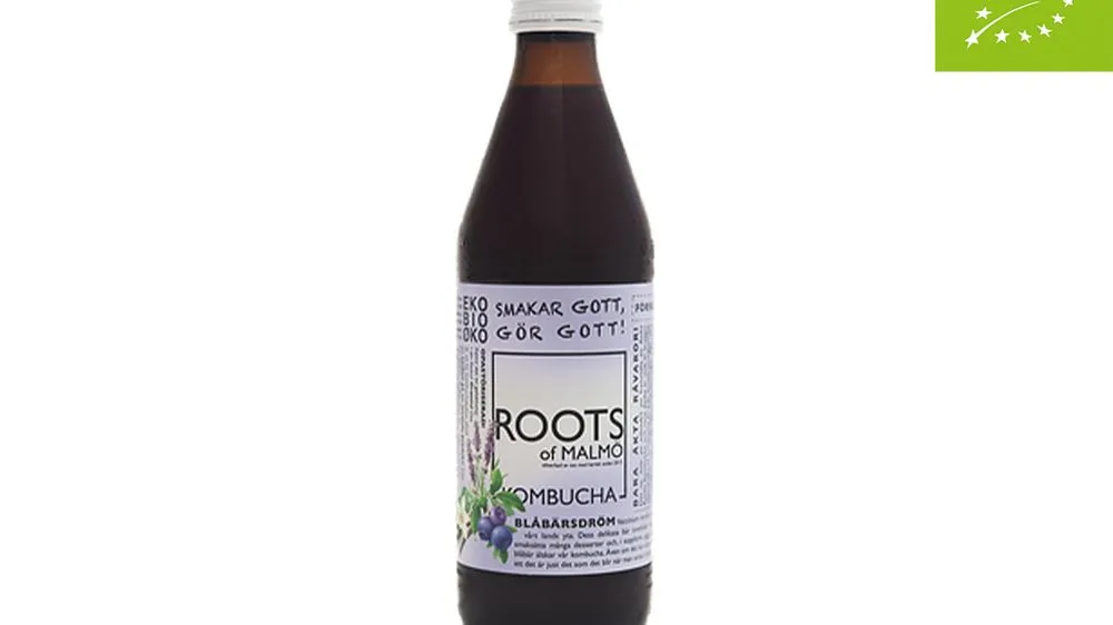 kombucha: blåbärsdröm (ekologisk)