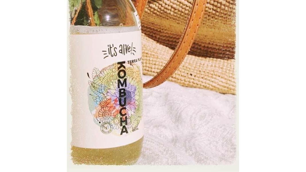Kombucha Terra plants 0.3
