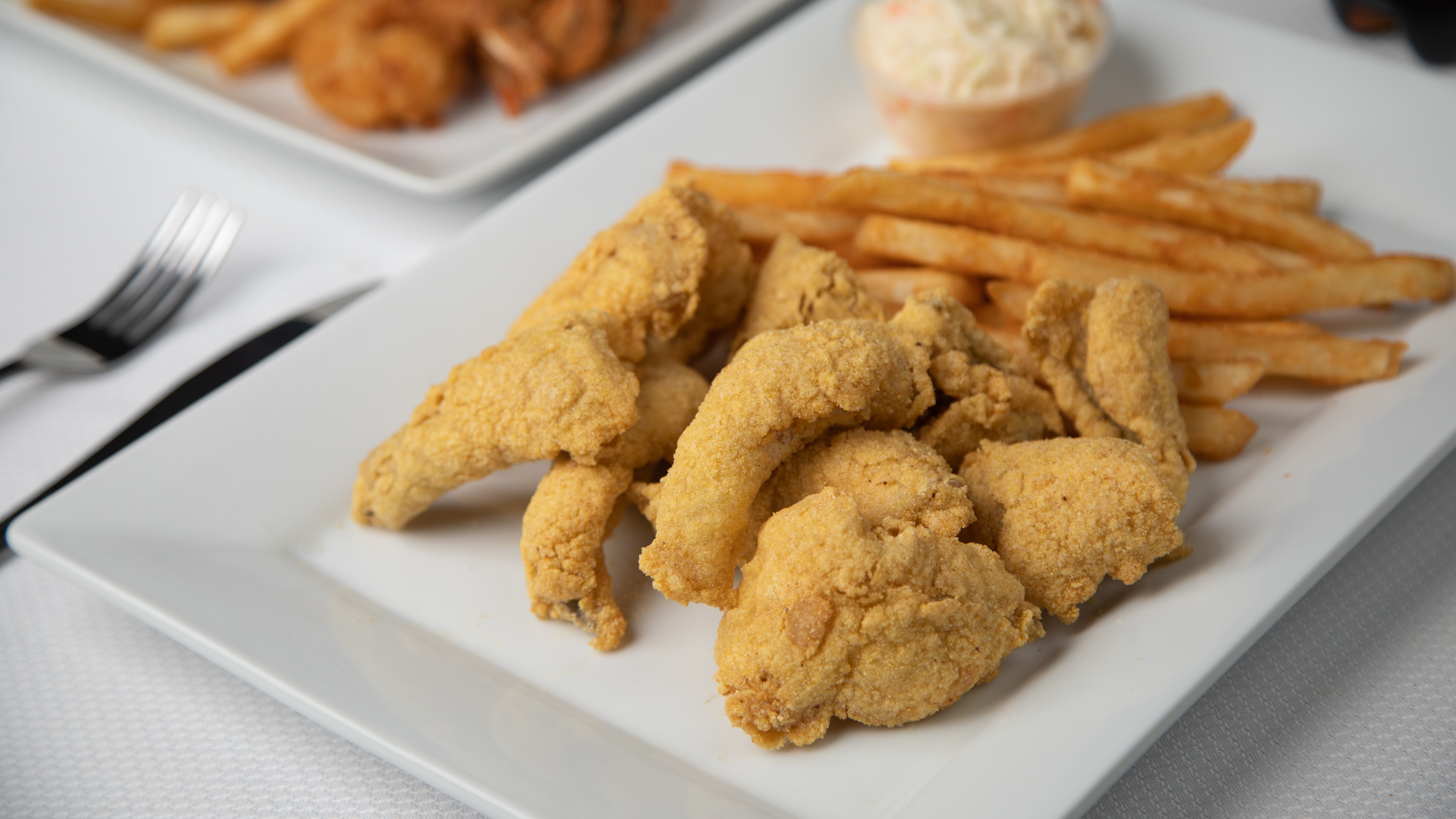 Cat Fish Nuggets