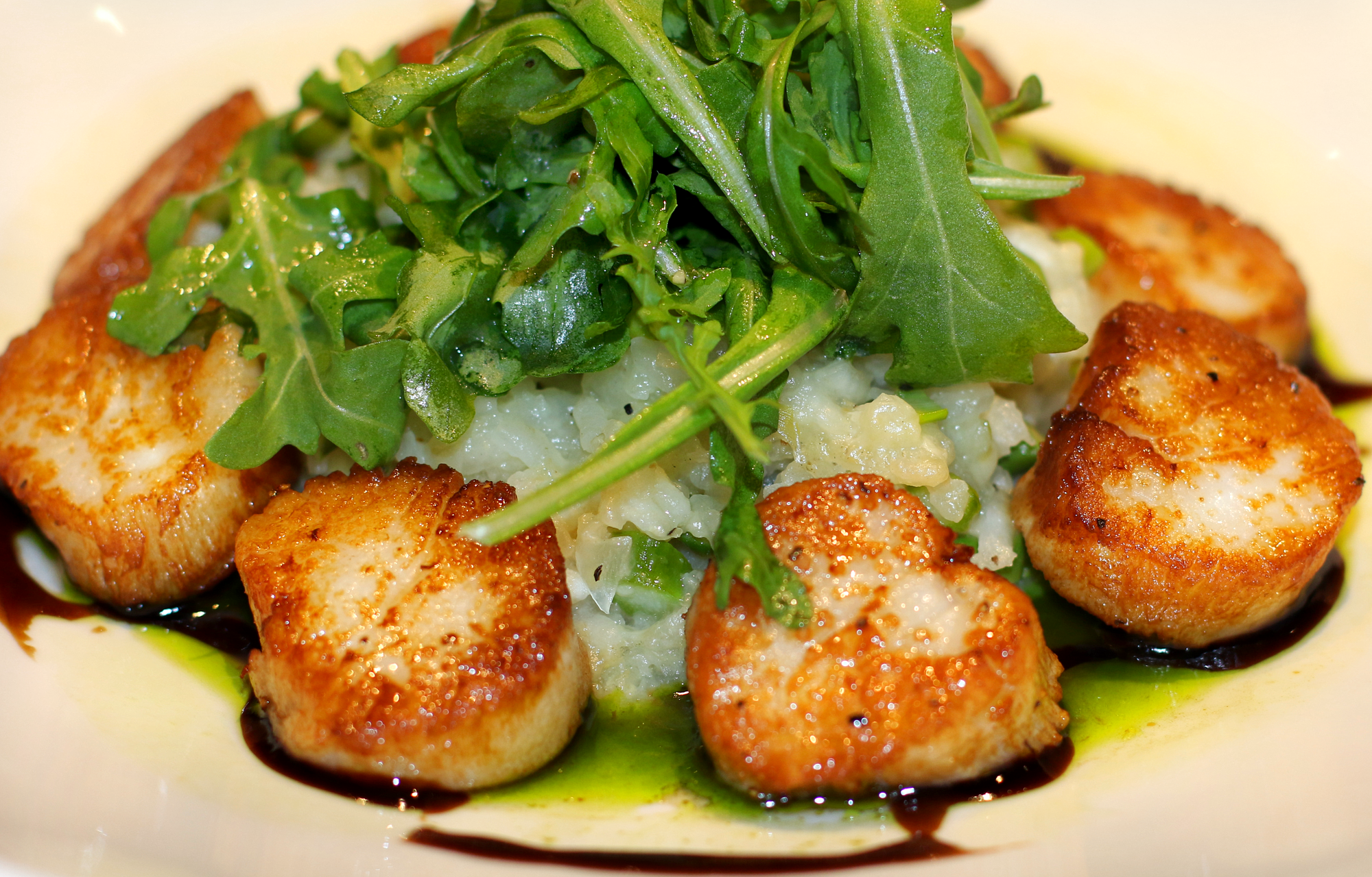 Seared Georges bank scallops (large)