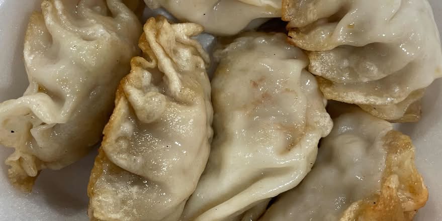 Fried Dumpling (6)