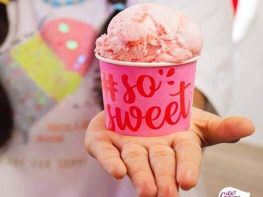 Puro Gelato 237Ml