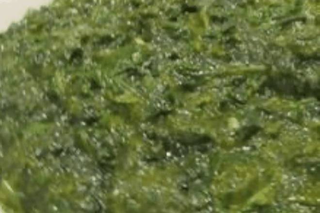 Palak Saag