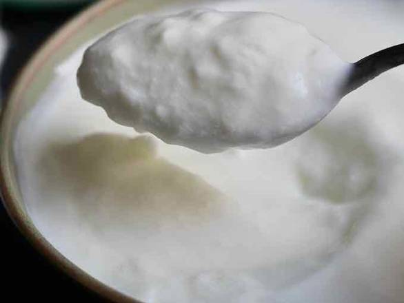 Plain Yogurt