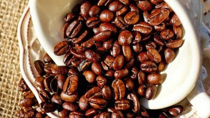 Doppio 18g