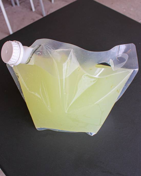 Lemonade Gallon