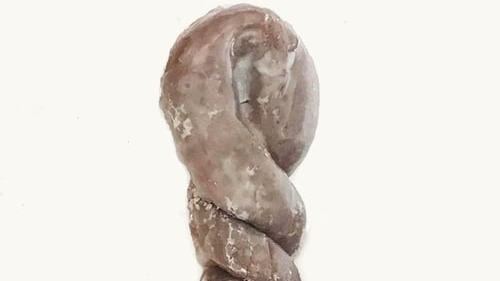 Chocolate Tail Glazed