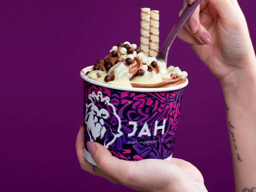 Açaí e Sorvetes 480Ml